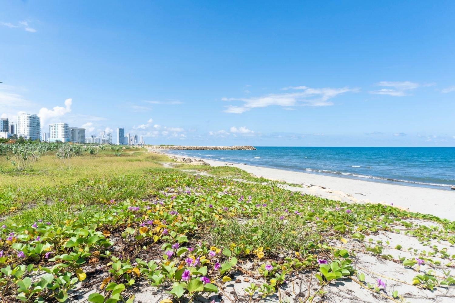 Apartamento 1135 Luxury Acogedora Hermosa Vista Cartagena